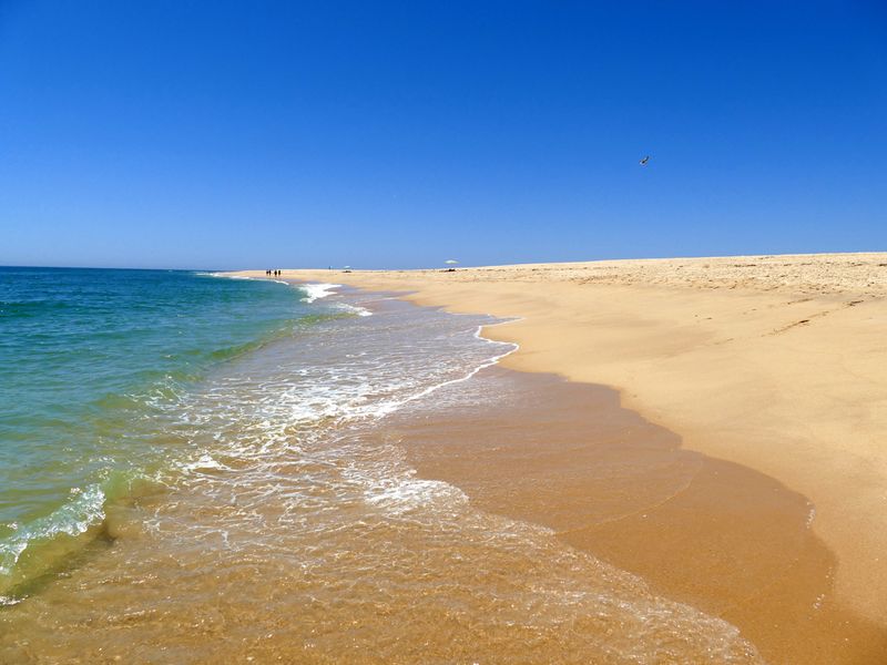 ilha-deserta_resultado