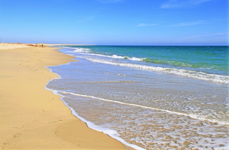 shutterstock_668832274