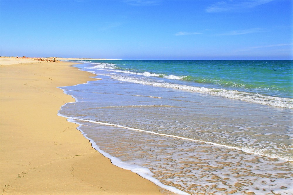 shutterstock_668832274