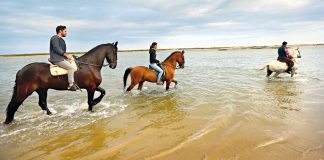Tavira: um convite para descobrir o tesouro que é o sotavento algarvio