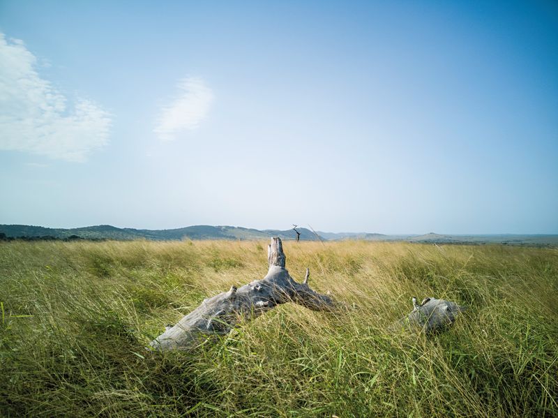 IMG_20180503_093848_resultado