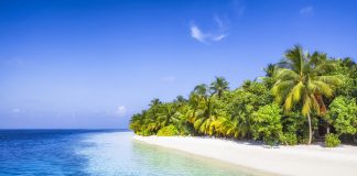 Vender livros numa ilha paradisíaca – as candidaturas já estão abertas