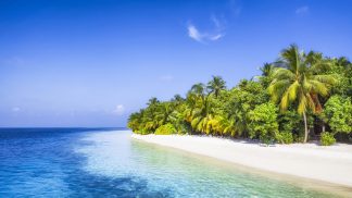 Vender livros numa ilha paradisíaca – as candidaturas já estão abertas