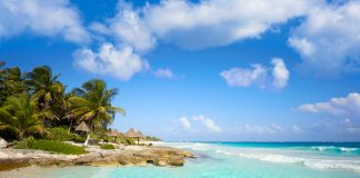 Grupo mexicano procura influenciador social – e paga 100 mil euros por ano