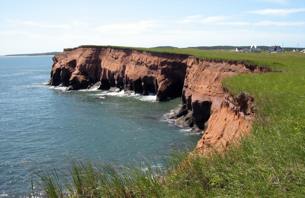 ilhas da madalena google