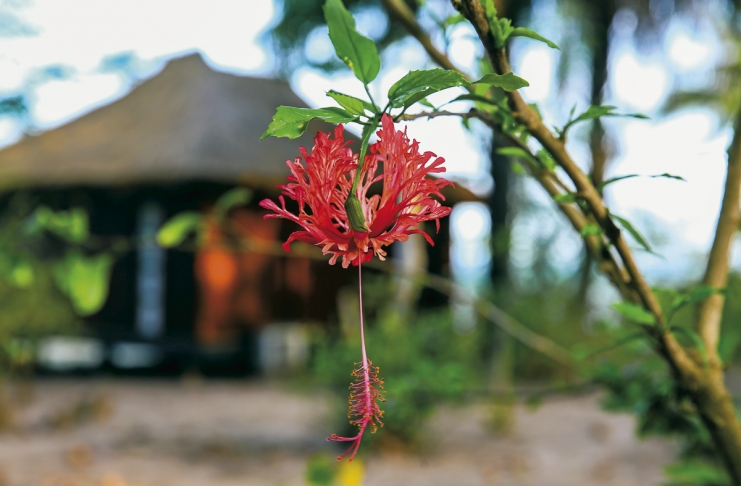 31844701_BINARY_GI12062018LN001388