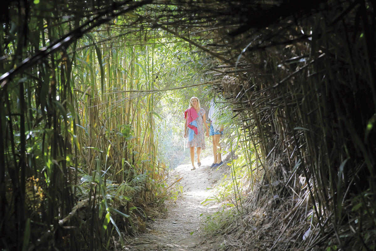 32142002_BINARY_GI010818PAULOSPRANGER152485