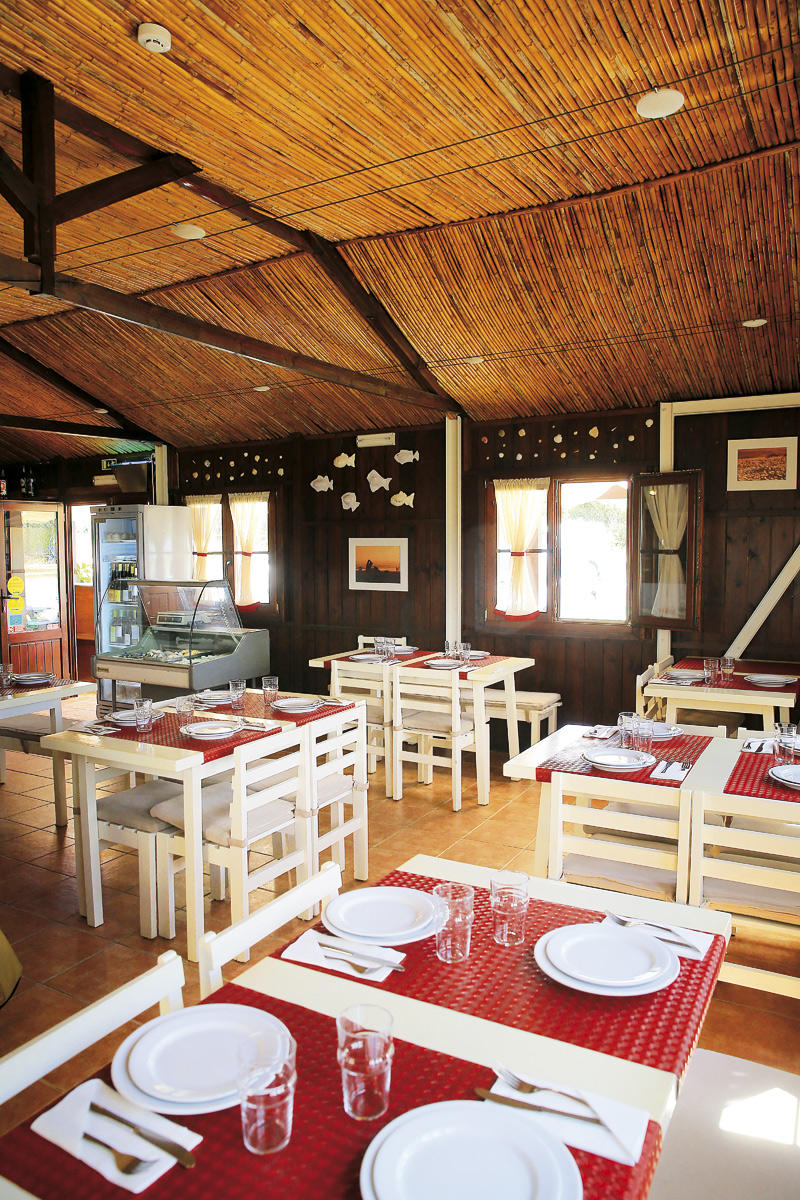 32142105_BINARY_GI310718PAULOSPRANGER151600