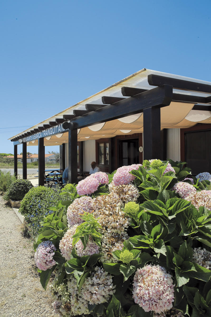 32142117_BINARY_GI310718PAULOSPRANGER151631