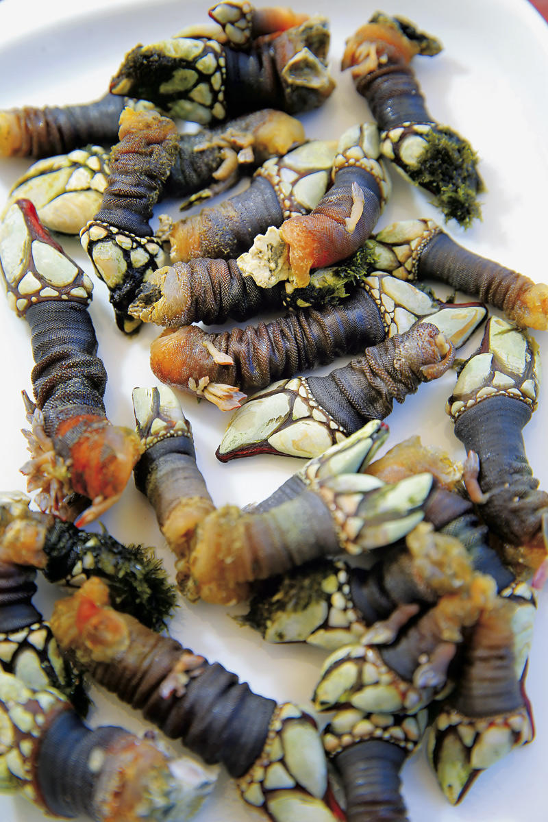 32142120_BINARY_GI310718PAULOSPRANGER151659