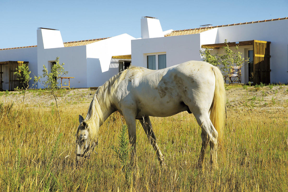 32142170_BINARY_GI310718PAULOSPRANGER151754