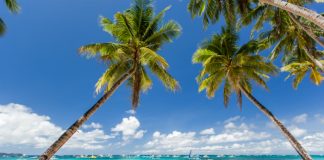 Ilha mais popular das Filipinas reabre aos turistas depois de seis meses de reabilitação