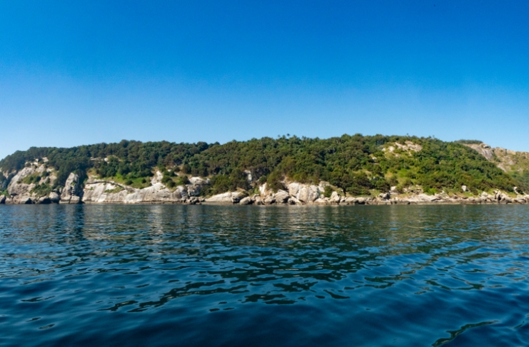 shutterstock_1136175563