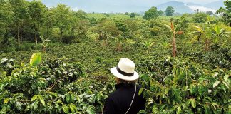 Colômbia: viagem na primeira pessoa pela nova vida das cidades