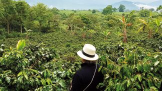Colômbia: viagem na primeira pessoa pela nova vida das cidades