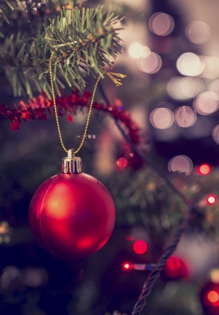 shutterstock_317033810