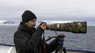 Deixou de ser professor para viajar pelo mundo a fotografar animais em perigo Deixou de ser professor para viajar pelo mundo a fotografar animais em perigo