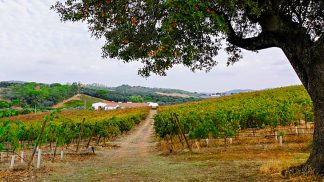 Evoramonte: nova vida no monte alentejano
