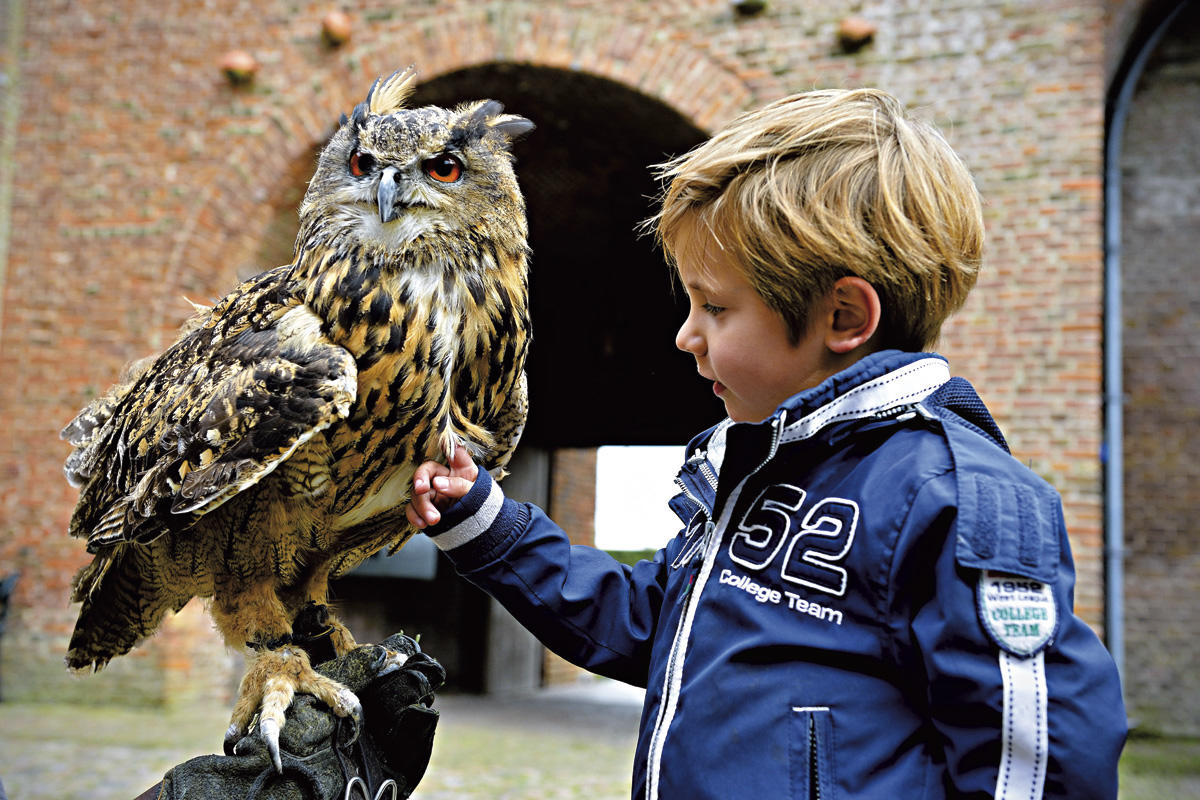 Muiderslot—jongetje-aait-uil-op-slotplein—foto-Mike-Bink-Mike-Bink-Redactioneel