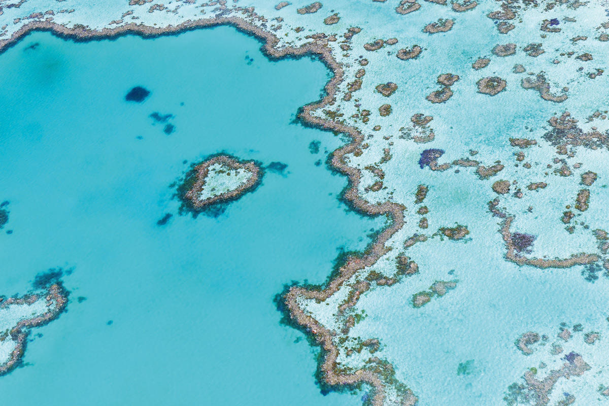 heart-reef-1649218
