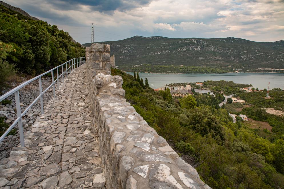 shutterstock_1181336362