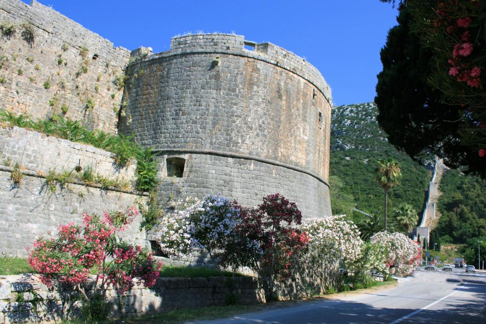 shutterstock_1273036891