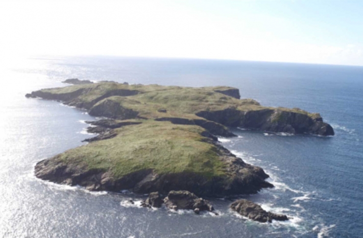 670ab227_47f75723_b9c363bb_7df3b806.jpg.ddc1016b