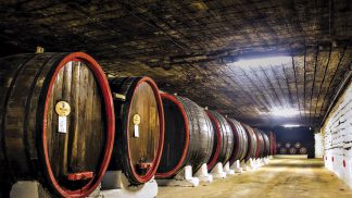 Dumitru Socolan: o vinho faz parte da cultura moldava