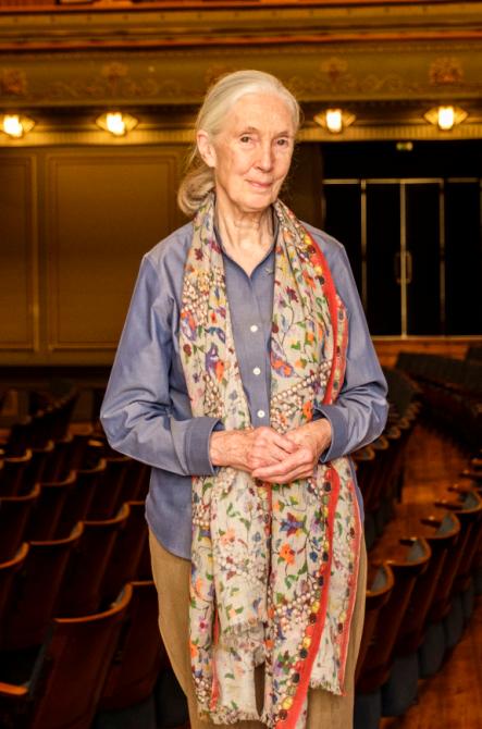 Jane Goodall