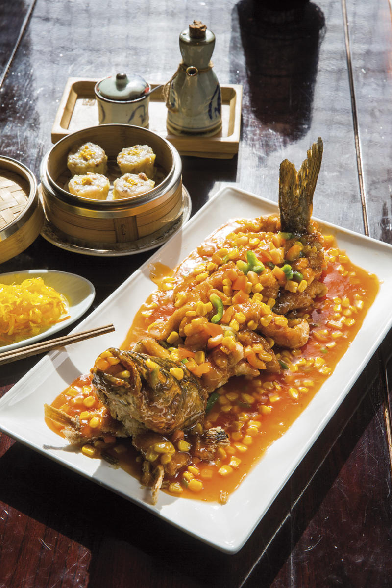 20160202_Dinastia_Tang_JS-1141-a