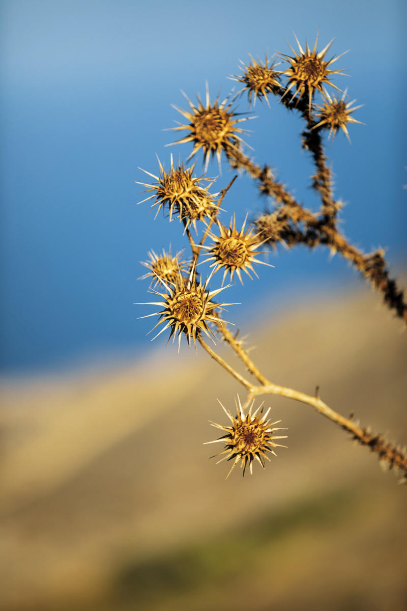 32841317_BINARY_GI19092018SARAMATOS00027