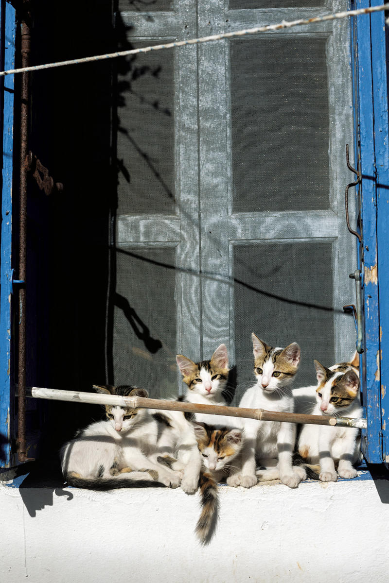 32841320_BINARY_GI18092018SARAMATOS00022