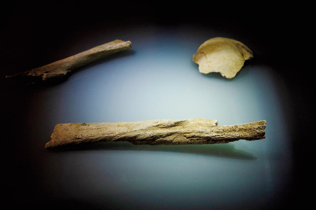 33850823_BINARY_GI14022019LN001359