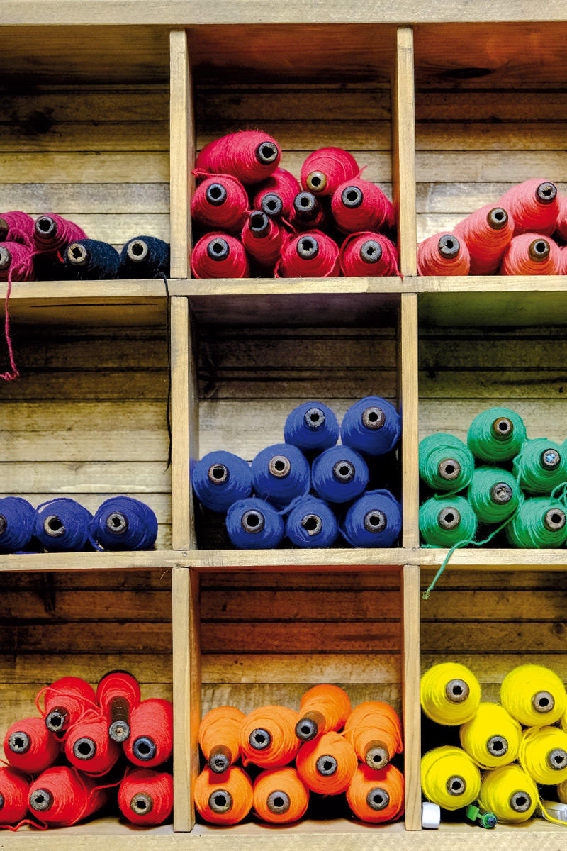 33850844_BINARY_GI14022019LN002527