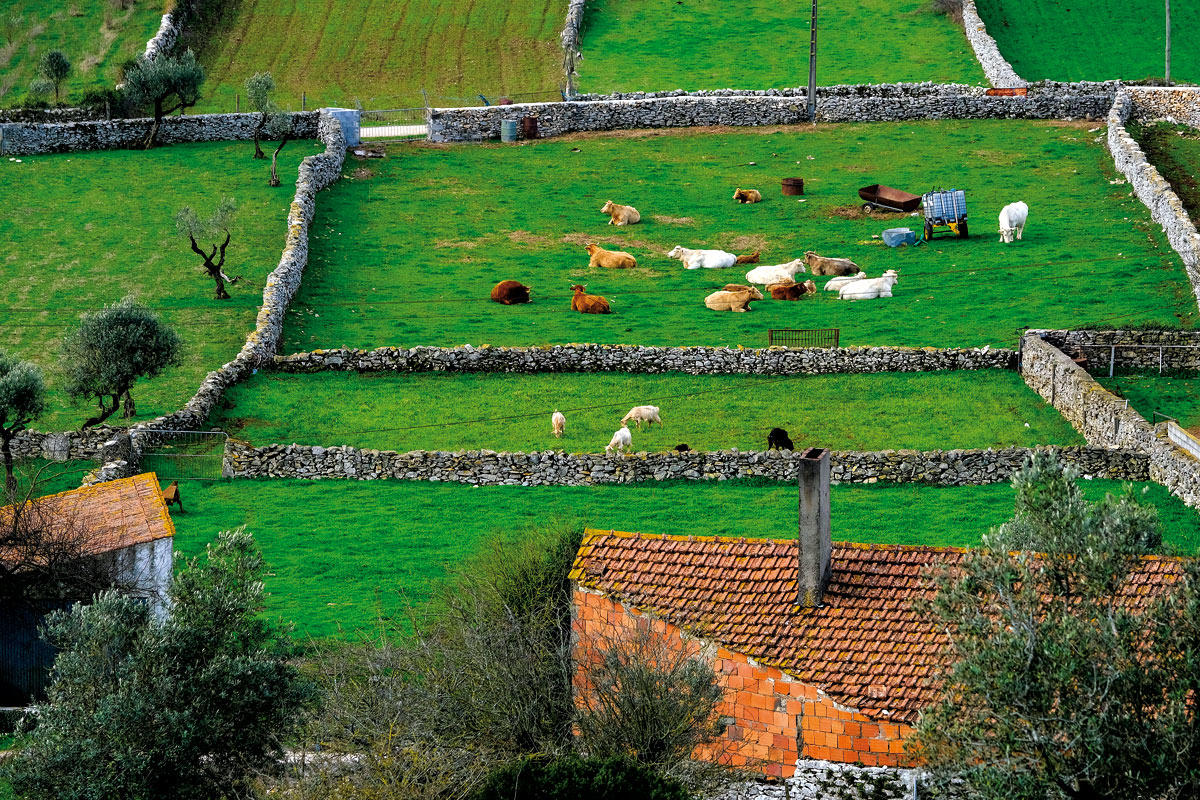 33850933_BINARY_GI14022019LN001292