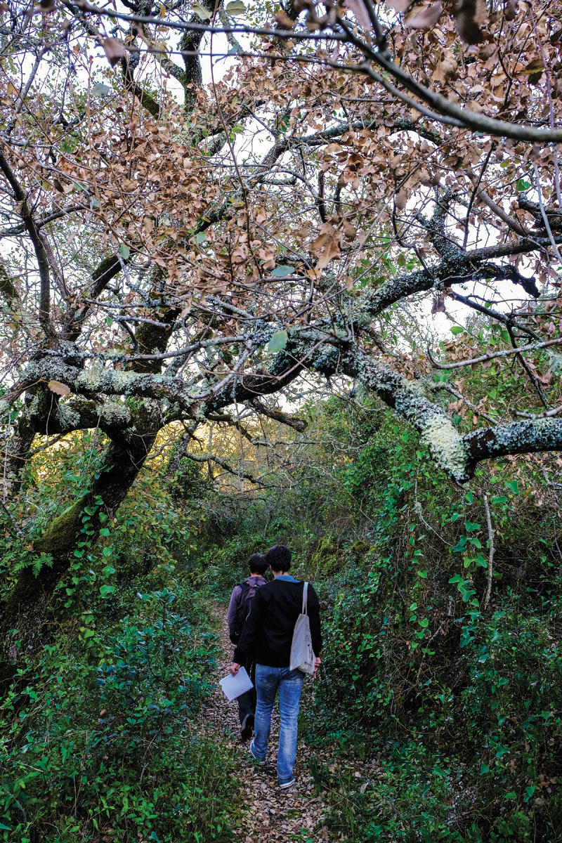 33850936_BINARY_GI14022019LN000336