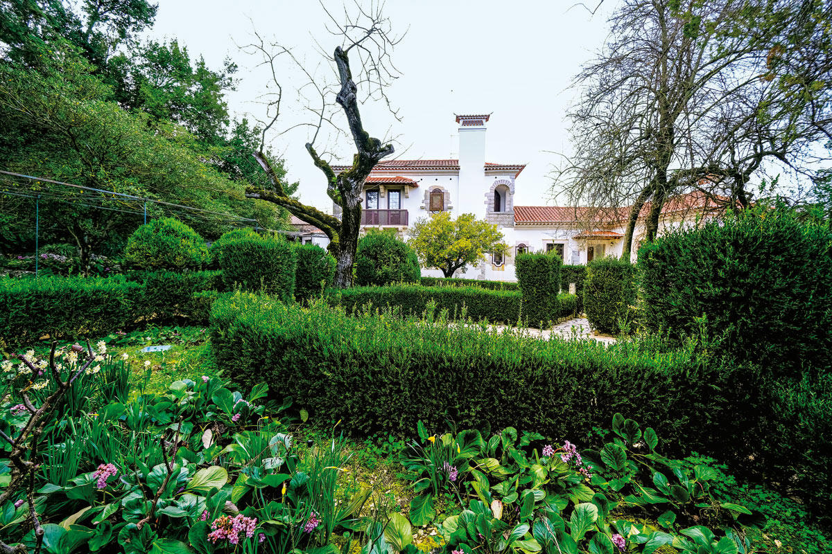 33851222_BINARY_GI14022019LN004477