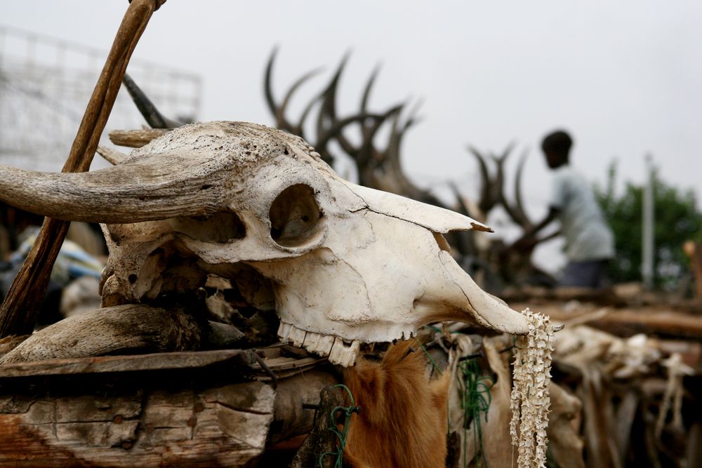 Akodessewa Fetish Market_shutterstock_417990295_resultado