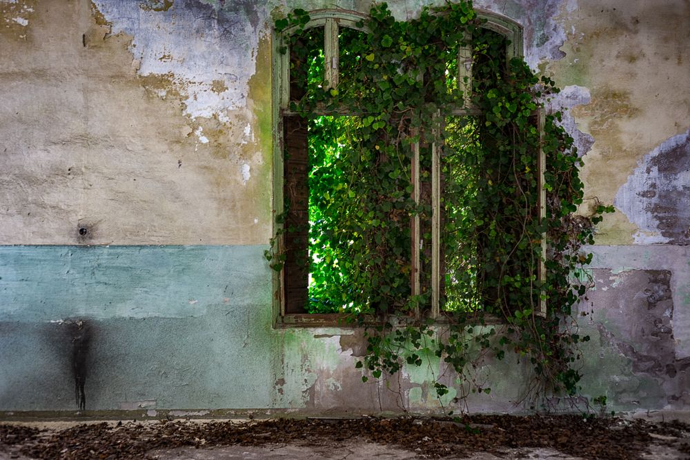 Poveglia Island_shutterstock_1348000142_resultado
