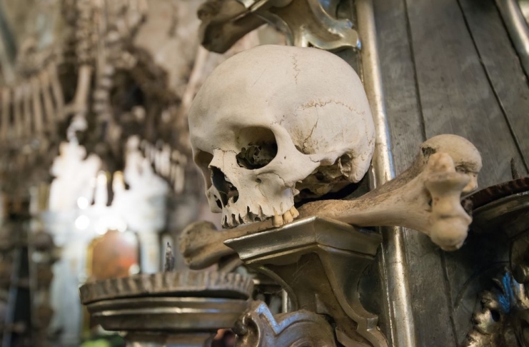 shutterstock_264970787_resultado