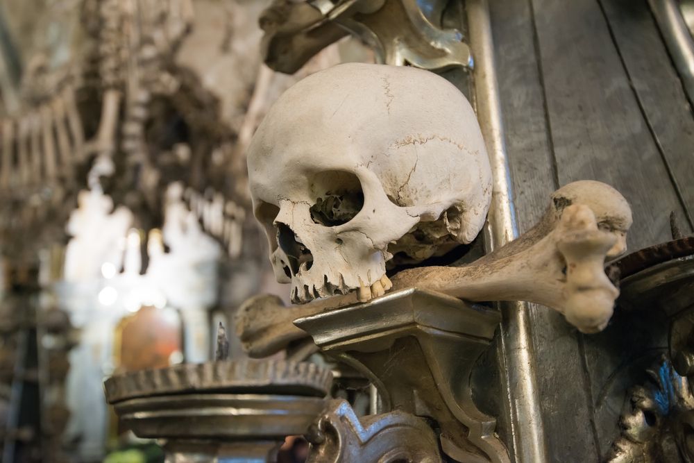 shutterstock_264970787_resultado