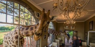 10 dos hotéis mais insólitos (e incríveis) do mundo: veja as fotos