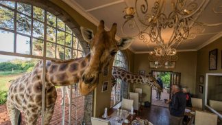 10 dos hotéis mais insólitos (e incríveis) do mundo: veja as fotos