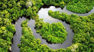 Luiz Alberto Figueiredo Machado: «Não é possível imaginar o Brasil sem a Amazónia»