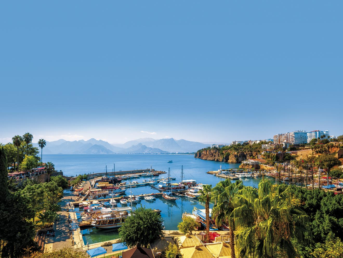 shutterstock_759721363