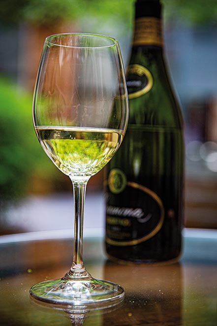 Reportagem Catalunha Interior