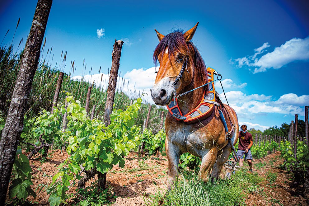 Reportagem Catalunha Interior