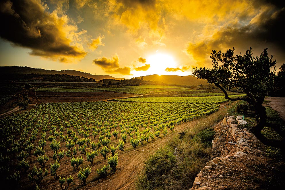 Reportagem Catalunha Interior