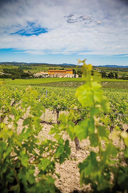 Reportagem Catalunha Interior