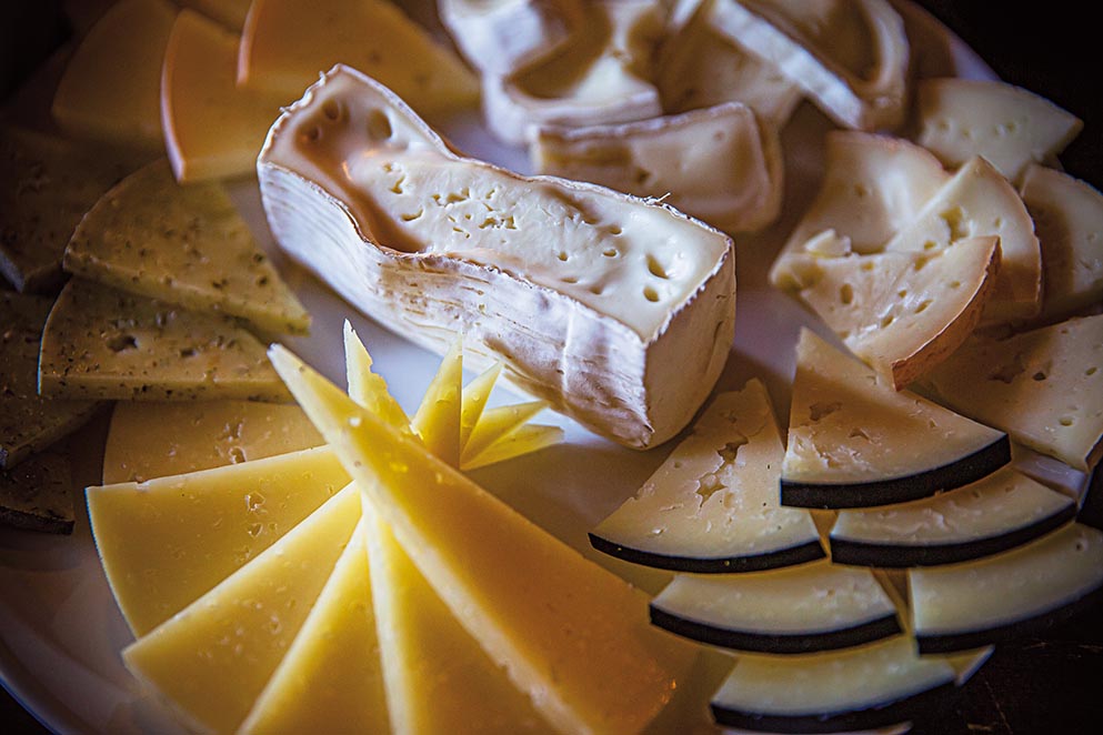 Reportagem Catalunha Interior